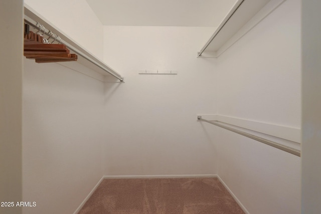 spacious closet with carpet flooring