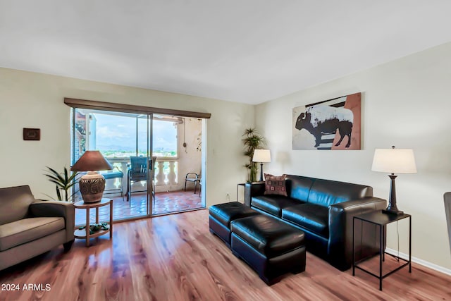 living room featuring hardwood / wood-style flooring