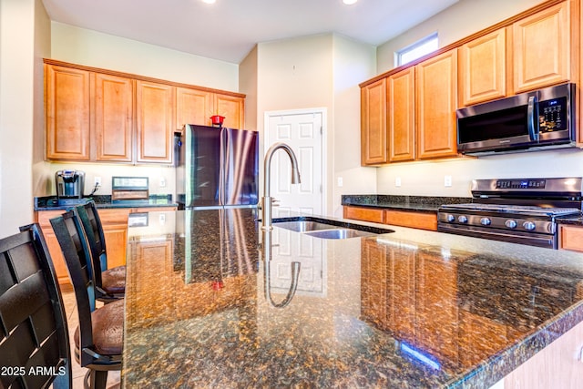 kitchen with a sink, dark stone counters, a large island with sink, and stainless steel appliances