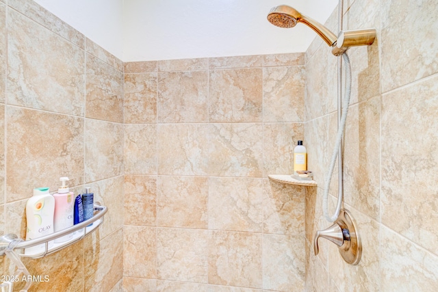 room details with tiled shower