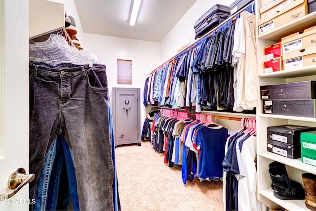 spacious closet with carpet