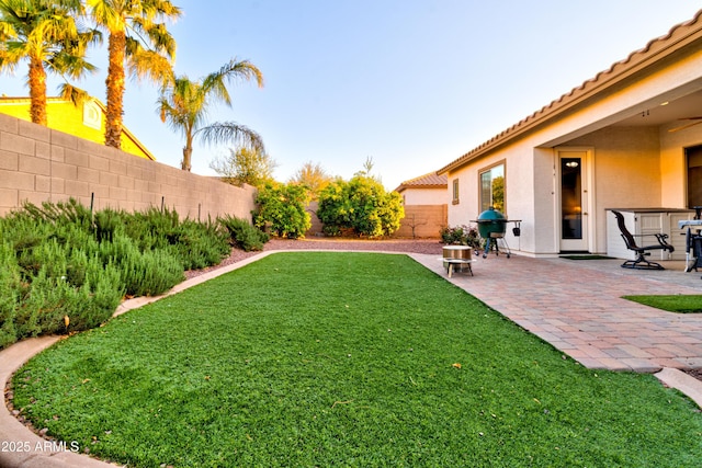 view of yard featuring a patio and a fenced backyard