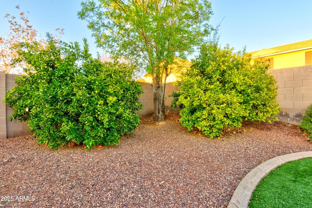 view of yard with a fenced backyard