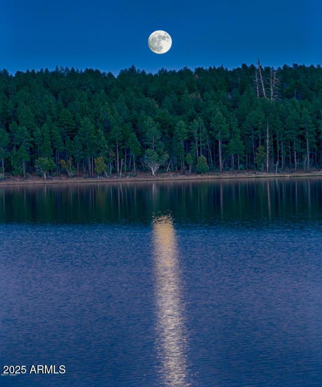 property view of water featuring a forest view
