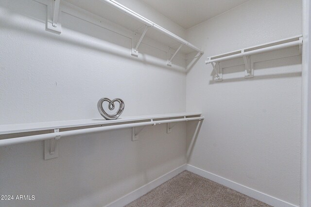 spacious closet with carpet