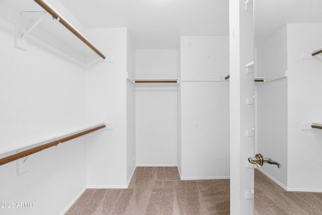 9797 N 100th Pl, Scottsdale, AZ 85258 - walk in closet with carpet flooring