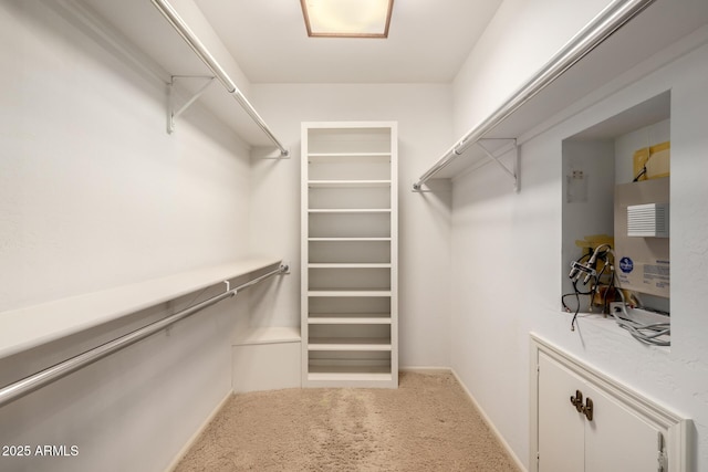 walk in closet featuring carpet