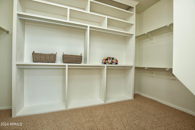 walk in closet featuring carpet flooring