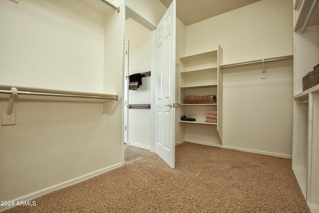 spacious closet with light colored carpet