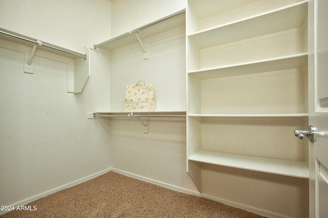 walk in closet with carpet floors