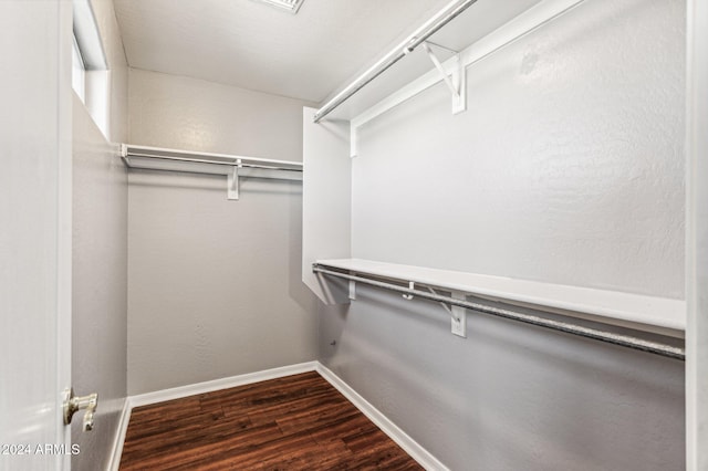 walk in closet with dark hardwood / wood-style flooring