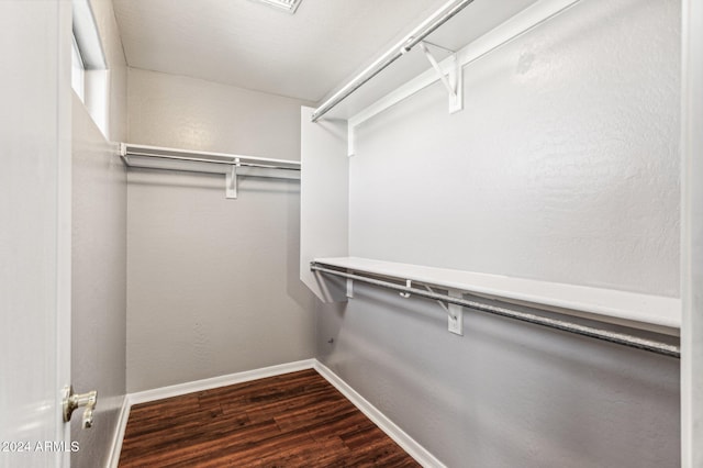 spacious closet featuring dark hardwood / wood-style flooring