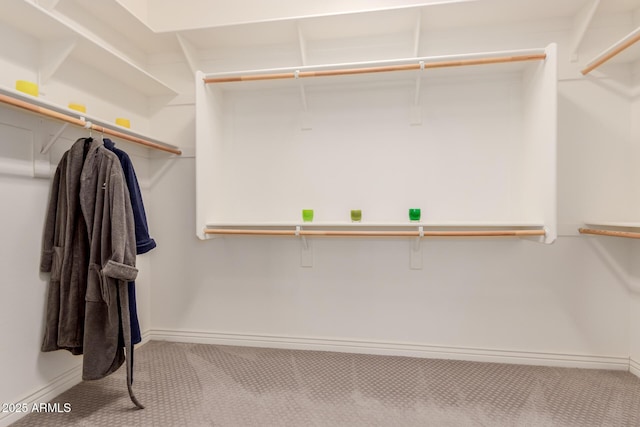 walk in closet with carpet flooring