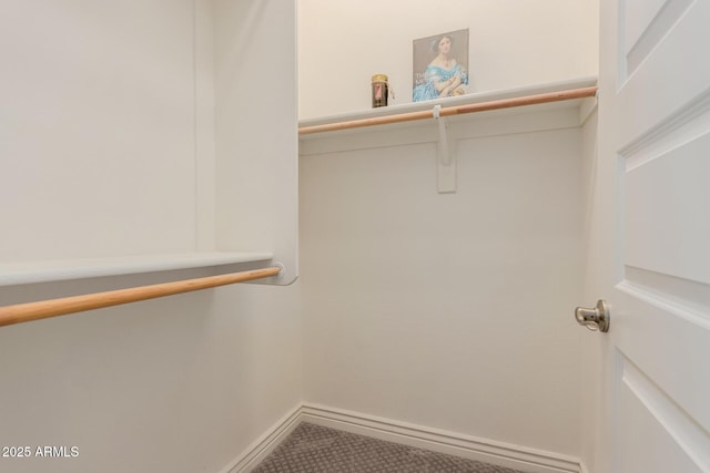 walk in closet featuring carpet