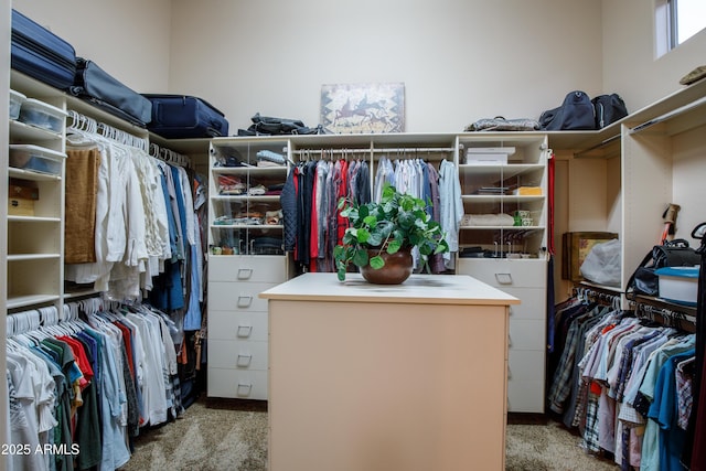 walk in closet featuring carpet