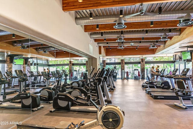 workout area with rail lighting and a healthy amount of sunlight