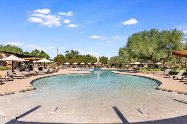 view of pool with a patio