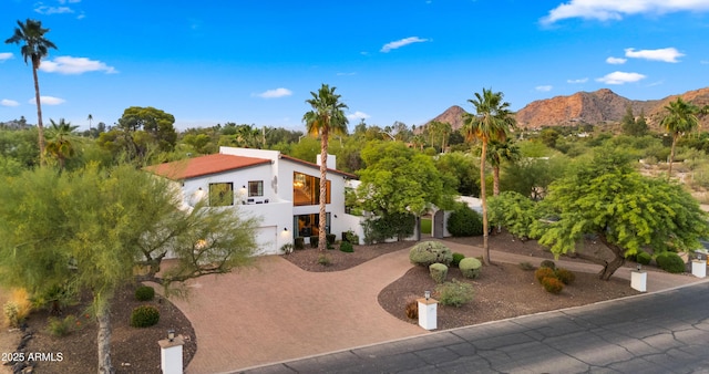 4824 E Hummingbird Ln, Paradise Valley, AZ 85253 - modern home featuring curved driveway, a mountain view, and stucco siding