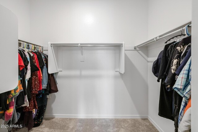 spacious closet featuring light colored carpet