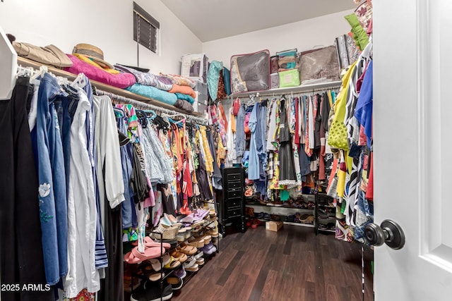 spacious closet featuring dark hardwood / wood-style floors