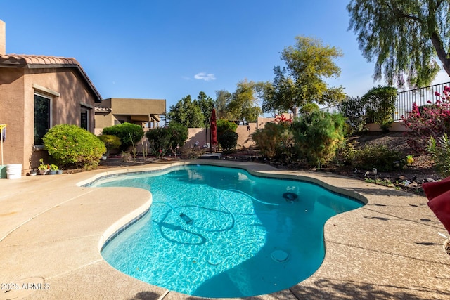 view of pool featuring a patio area