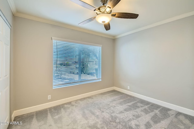 spare room featuring carpet flooring, ceiling fan, and crown molding