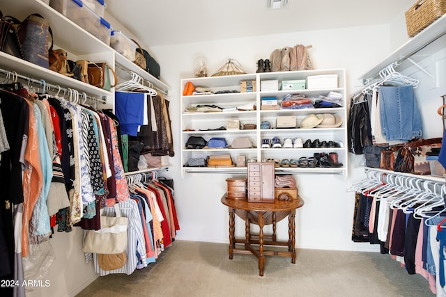 spacious closet featuring carpet