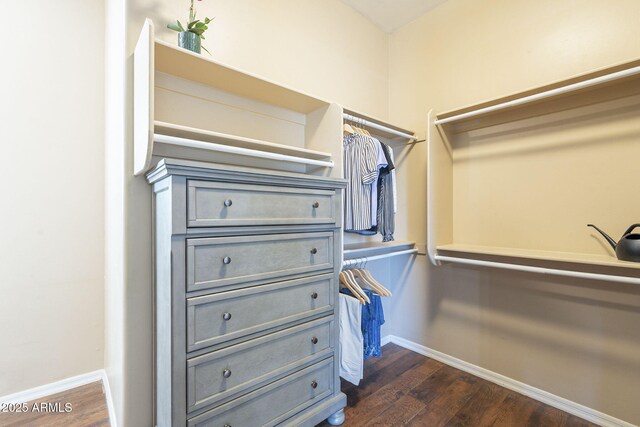 4915 N Greentree Dr, Litchfield Park, AZ 85340 - walk in closet featuring dark wood-type flooring