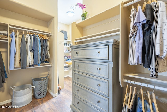 4915 N Greentree Dr, Litchfield Park, AZ 85340 - spacious closet with wood-type flooring
