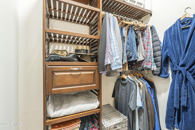 4915 N Greentree Dr, Litchfield Park, AZ 85340 - view of walk in closet
