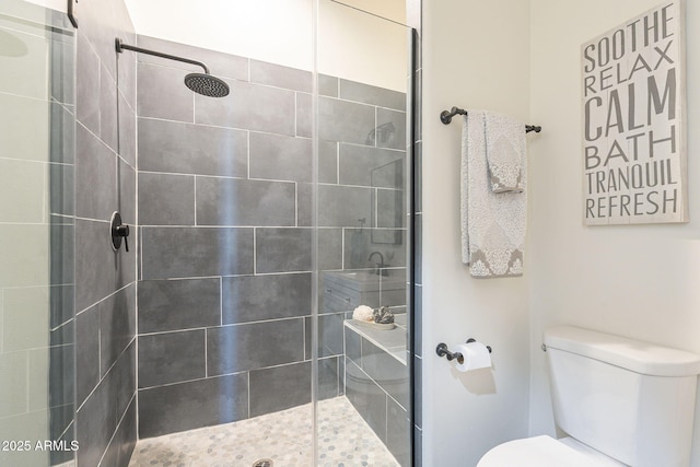 4915 N Greentree Dr, Litchfield Park, AZ 85340 - bathroom featuring toilet and tiled shower