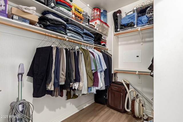 walk in closet featuring hardwood / wood-style flooring and electric panel