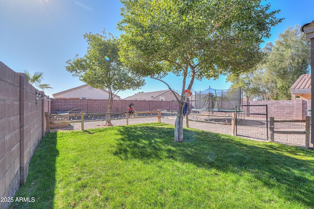 view of yard featuring a trampoline