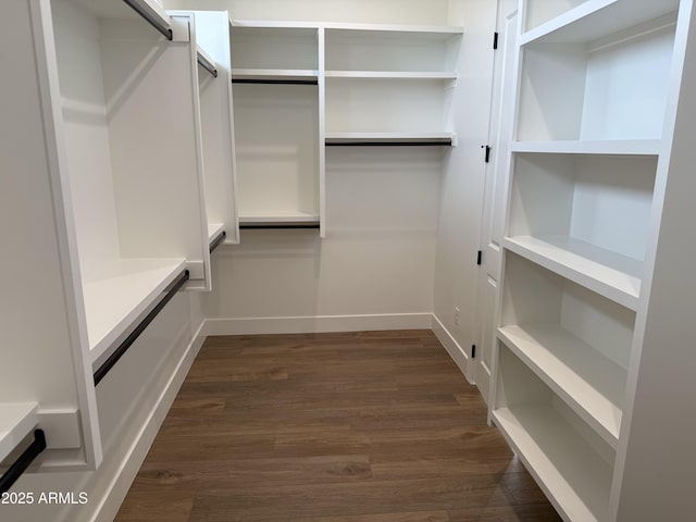 spacious closet featuring dark wood-type flooring and a barn door