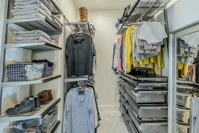 spacious closet featuring light colored carpet