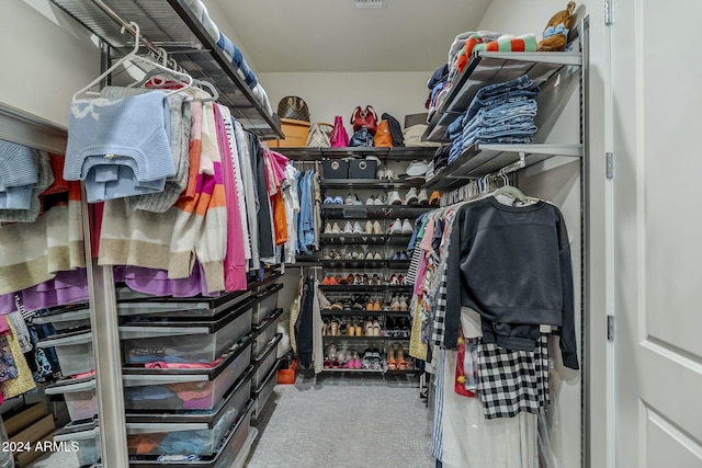 view of spacious closet