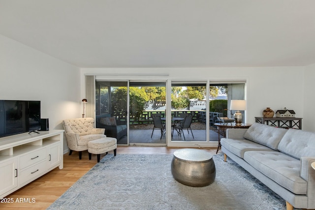 living room with light hardwood / wood-style flooring