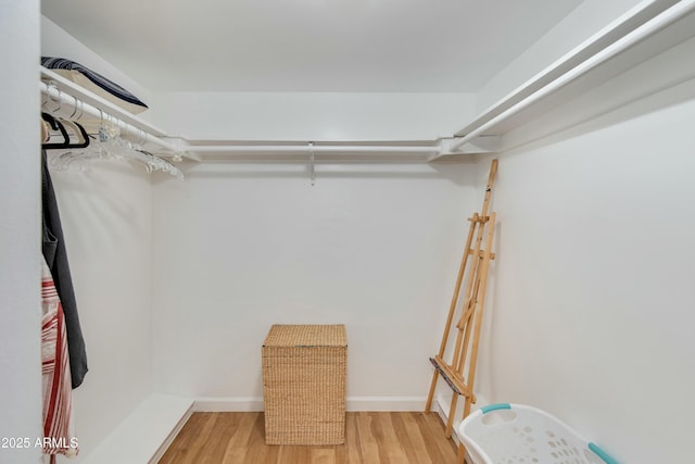 walk in closet featuring wood-type flooring