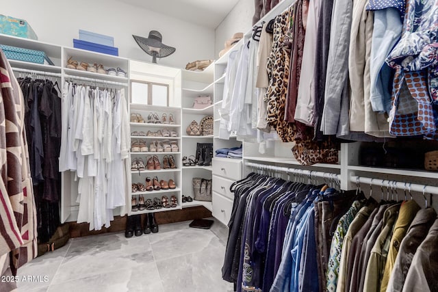 view of spacious closet