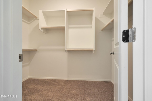 walk in closet featuring carpet floors