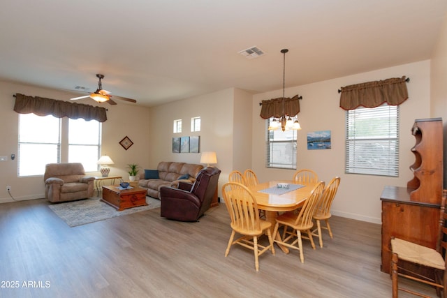 dining room featuring a healthy amount of sunlight, ceiling fan with notable chandelier, and light hardwood / wood-style flooring