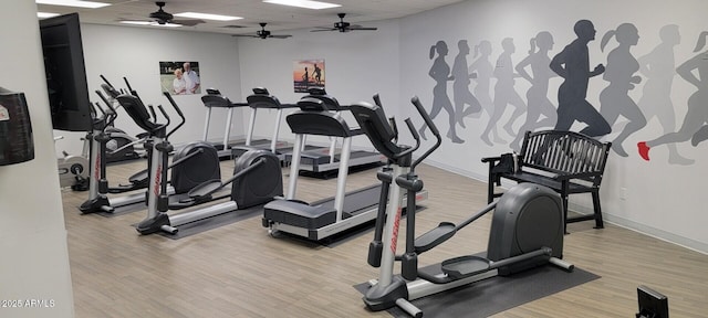 gym with light hardwood / wood-style flooring and a drop ceiling