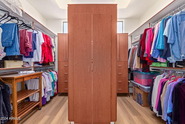 walk in closet with light hardwood / wood-style flooring