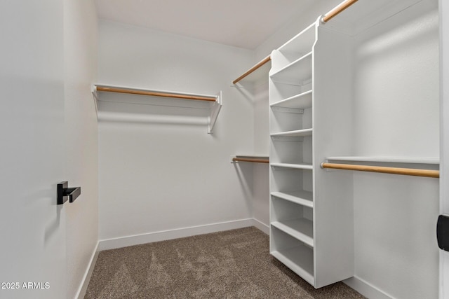 1416 W Highland St, Chandler, AZ 85224 - walk in closet with carpet flooring