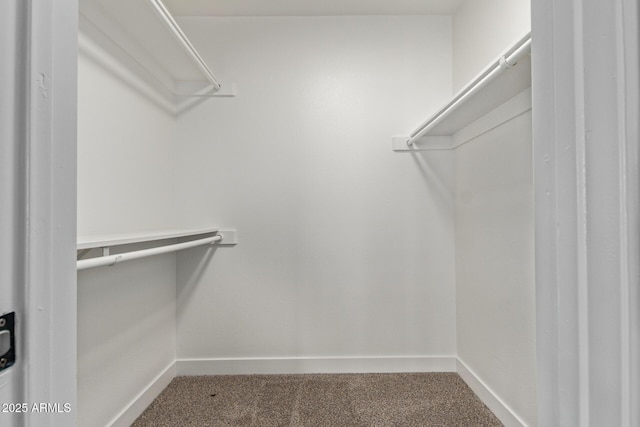 1416 W Highland St, Chandler, AZ 85224 - walk in closet featuring carpet