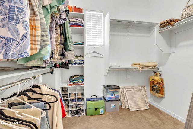 walk in closet with carpet floors