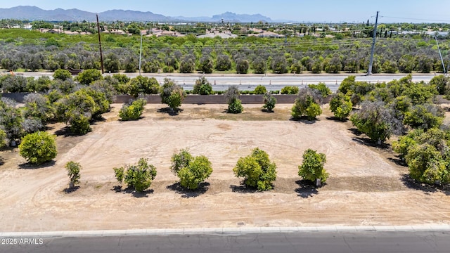 2061 N Orchard Unit 42, Mesa, AZ 85213
