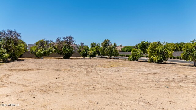 2061 N Orchard Unit 42, Mesa, AZ 85213