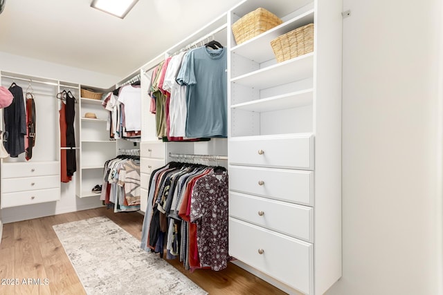 spacious closet featuring wood finished floors