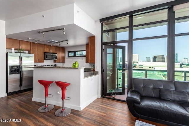 kitchen with plenty of natural light, dark wood-type flooring, stainless steel appliances, and kitchen peninsula